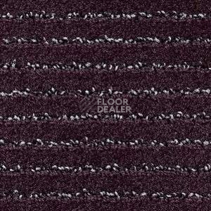 Ковролин Radici Painstripe Notte 2717 фото 1 | FLOORDEALER